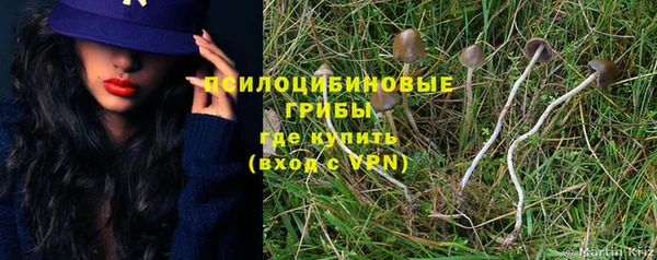 гидра Арсеньев