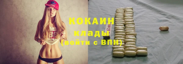 гидра Арсеньев