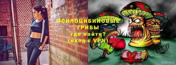 гидра Арсеньев