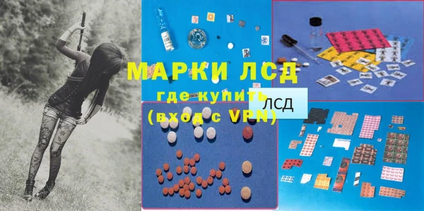 гидра Арсеньев