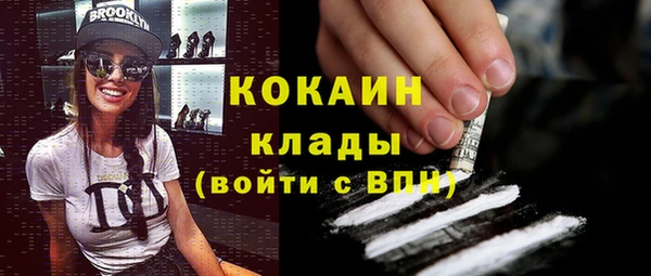 гидра Арсеньев