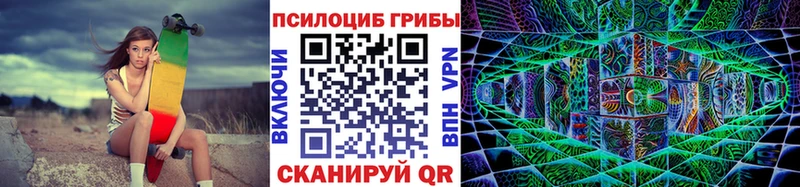 mega ССЫЛКА  Реж  Псилоцибиновые грибы Cubensis  купить наркоту 
